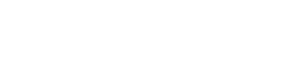 evimedia